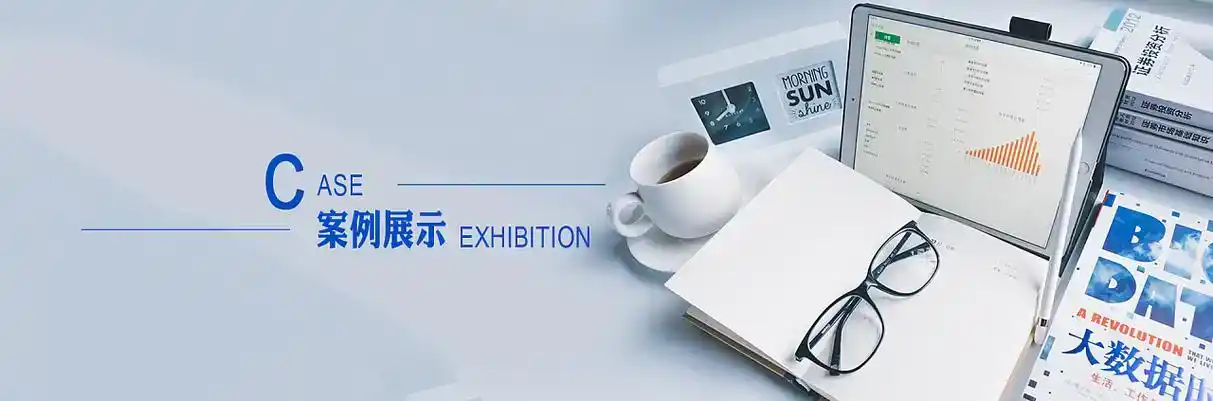 武邑县软件开发